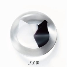 画像12: 【coconeco 】ここねこ  箸置き　ガラス　猫　ネコ好き　白　黒　茶　ブチ黒　ブチ茶　アデリア 日本製 (12)