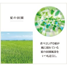 画像11: ネコポス対応【津軽びいどろ】箸置き　にほんの色ふうけい　ガラス　 カトラリーレスト はしおき 手作り ガラス食器 石塚硝子 アデリア 日本製ラス　アデリア (11)