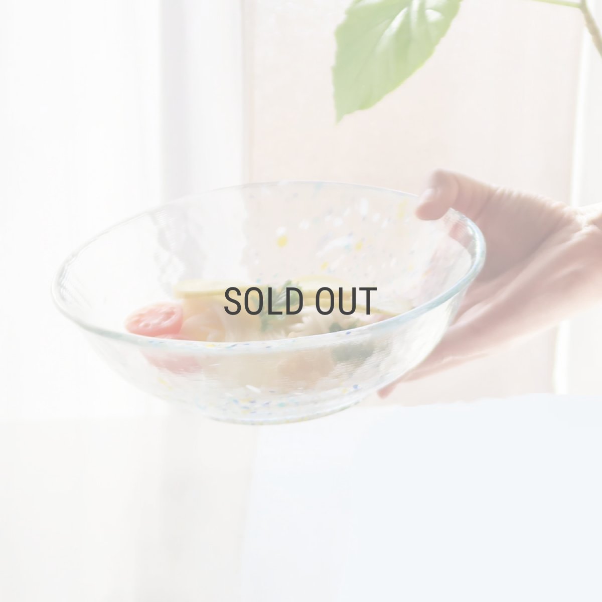 画像10: 【江戸硝子】そうめん鉢　浅鉢　ガラス食器  日本製　いきはり　みず　トミガラス　富硝子 (10)