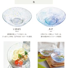画像4: 【江戸硝子】そうめん鉢　浅鉢　ガラス食器  日本製　いきはり　みず　トミガラス　富硝子 (4)