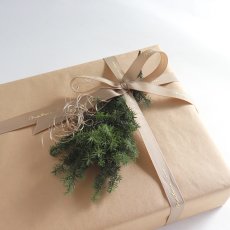 画像7: 【Gift】リトルツリー　Little tree コサージュ　 Gift Wrapping　有料ギフトラッピング　(プリザーブドフラワー・リボン）　 (7)