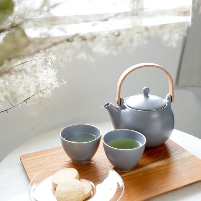 画像1: 【SALIU】Nature Ave. 限定カラー　薄墨　結 YUI 土瓶 急須　600ml  日本製　