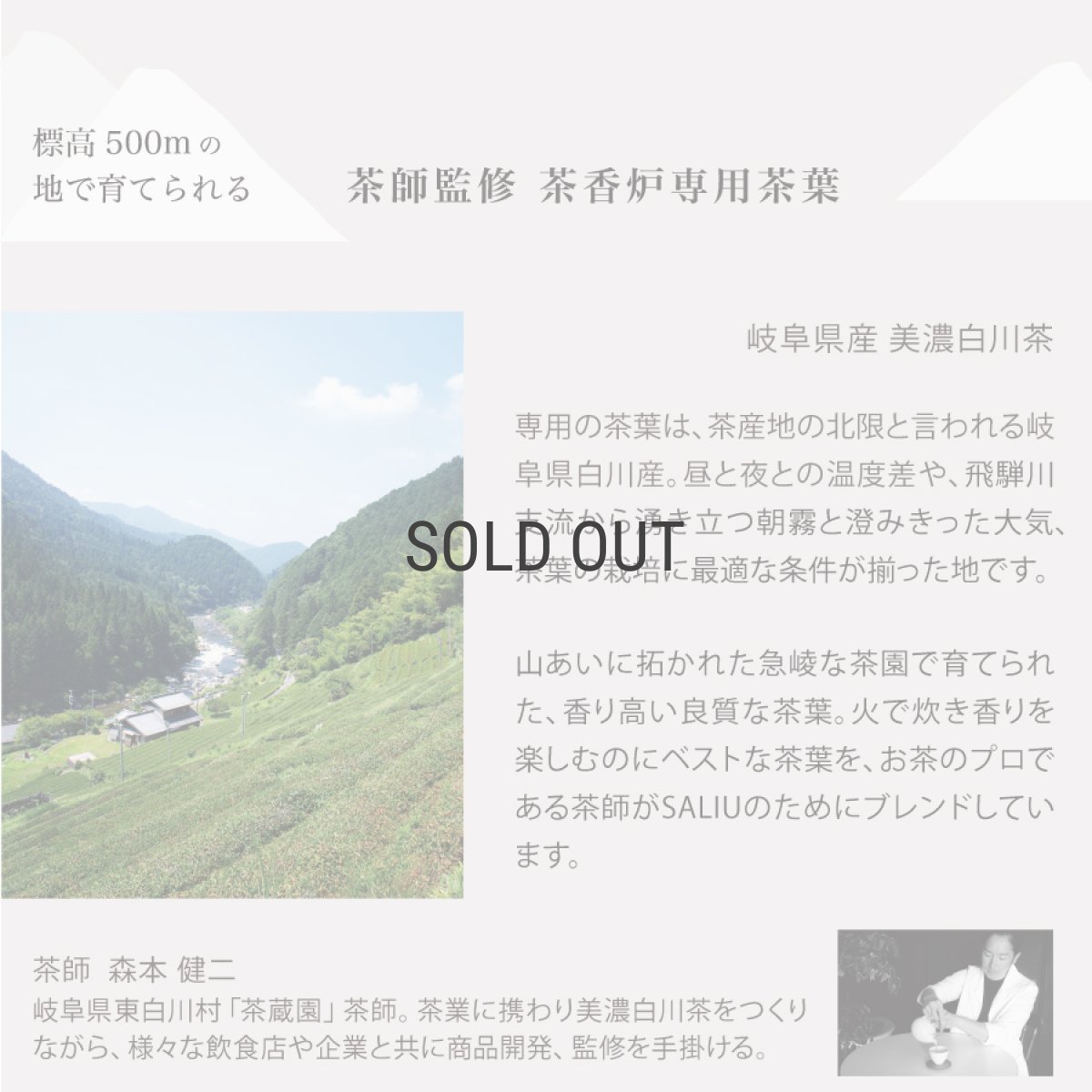 画像4: 【SALIU】茶香炉専用茶葉　美濃白川茶　日本製　さのか (4)