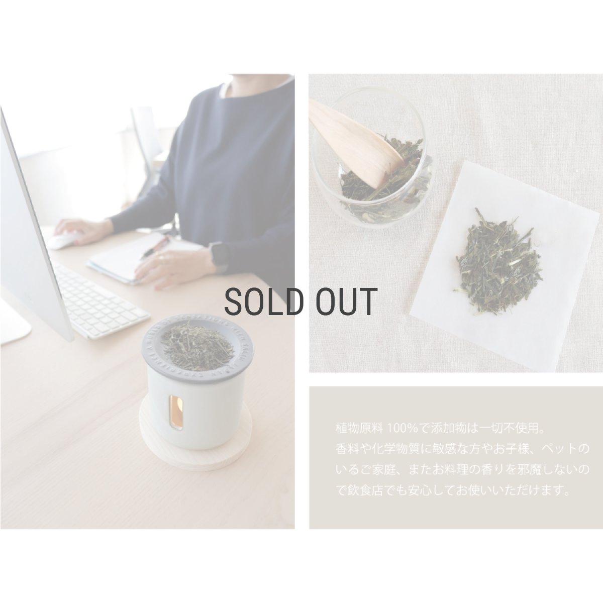 画像5: 【SALIU】茶香炉専用茶葉　美濃白川茶　日本製　さのか (5)