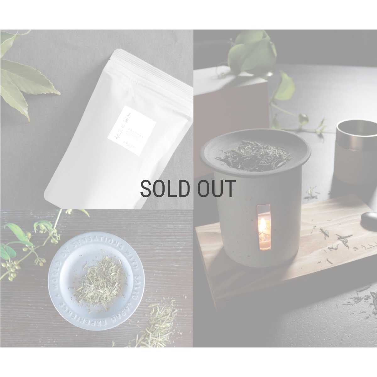 画像6: 【SALIU】茶香炉専用茶葉　美濃白川茶　日本製　さのか (6)