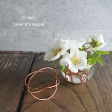画像1: 【shesay】お花長持ち！　コッパー　フラワーライフキーパー　銅の力で美しさをキープ　φ 4cm φ7cm  (1)