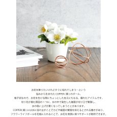 画像3: 【shesay】お花長持ち！　コッパー　フラワーライフキーパー　銅の力で美しさをキープ　φ 4cm φ7cm  (3)