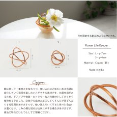 画像5: 【shesay】お花長持ち！　コッパー　フラワーライフキーパー　銅の力で美しさをキープ　φ 4cm φ7cm  (5)