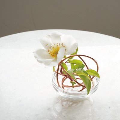画像1: 【shesay】お花長持ち！　コッパー　フラワーライフキーパー　銅の力で美しさをキープ　φ 4cm φ7cm 
