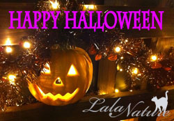 ☆Halloween☆