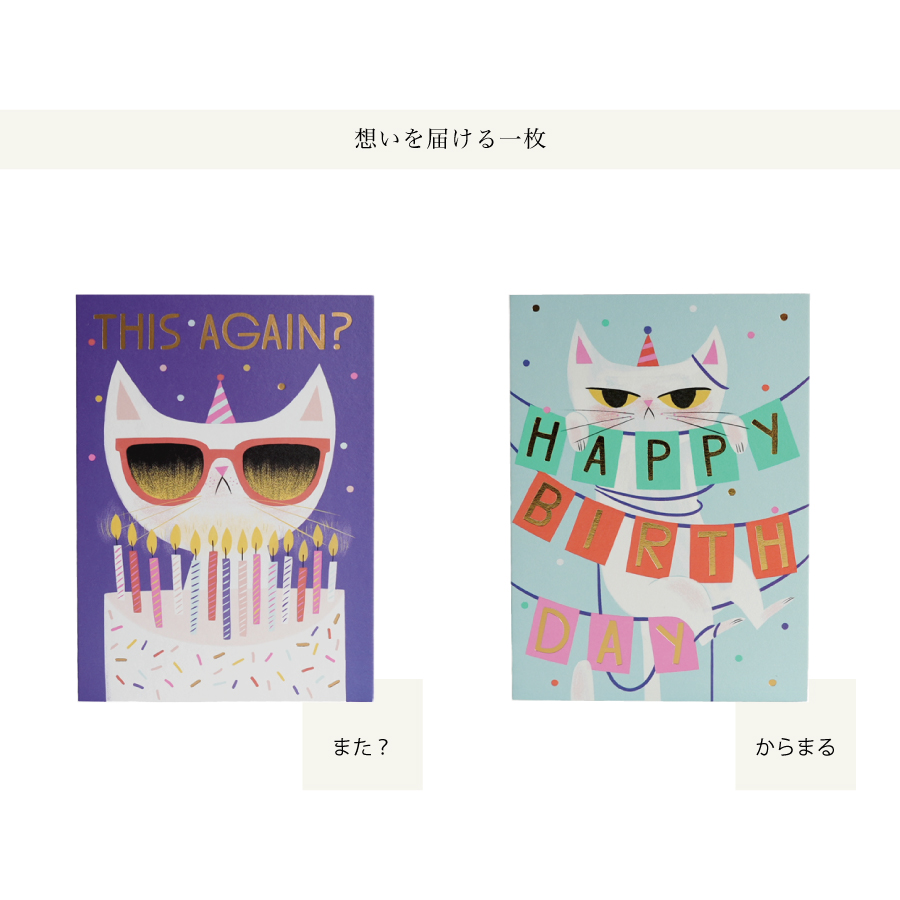 画像2: 【Klang & Kleid】Birthday Cat   バースデーキャット (また？・からまる)　バースデーカード  箔押しカード　封筒付  誕生日カード　Allison Black  Lagom Design  ギフト　約11cm X 15cm　Design in UK 　EU印刷　ネコポス対応 (2)