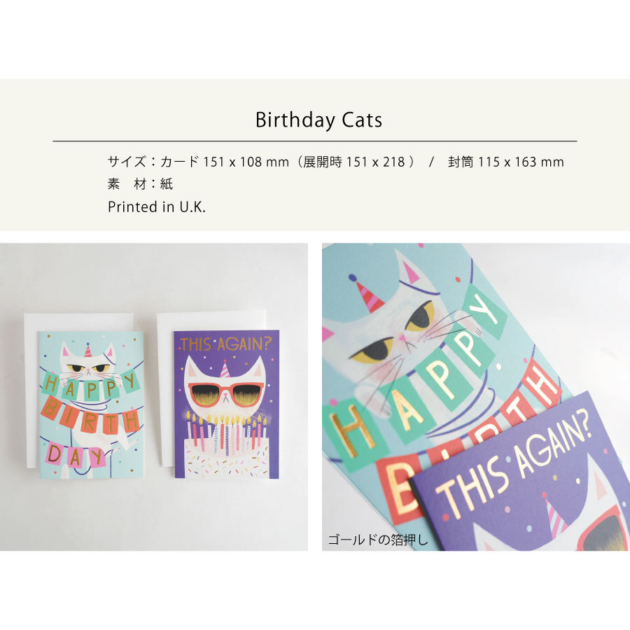 画像3: 【Klang & Kleid】Birthday Cat   バースデーキャット (また？・からまる)　バースデーカード  箔押しカード　封筒付  誕生日カード　Allison Black  Lagom Design  ギフト　約11cm X 15cm　Design in UK 　EU印刷　ネコポス対応 (3)