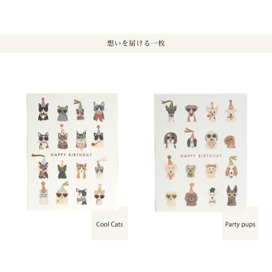 画像2: 【Klang&Kleid】Cool Cats & Party Pup　HAPPY BIRTHDAY  クールキャッツ パーティーパップス　バースデーカード  ゴールドの封筒付き　誕生日　（ネコ/Cool Ctas・イヌ/Party Pups）メッセージカード　ヨーロッパ製　箔押し ギフト　約11cm X 14cm　Design in UK 　EU印刷　ネコポス対応 (2)