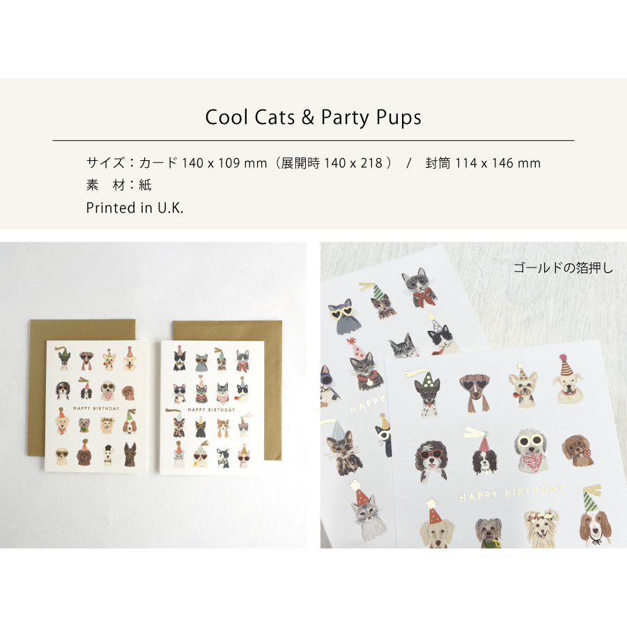 画像3: 【Klang&Kleid】Cool Cats & Party Pup　HAPPY BIRTHDAY  クールキャッツ パーティーパップス　バースデーカード  ゴールドの封筒付き　誕生日　（ネコ/Cool Ctas・イヌ/Party Pups）メッセージカード　ヨーロッパ製　箔押し ギフト　約11cm X 14cm　Design in UK 　EU印刷　ネコポス対応 (3)