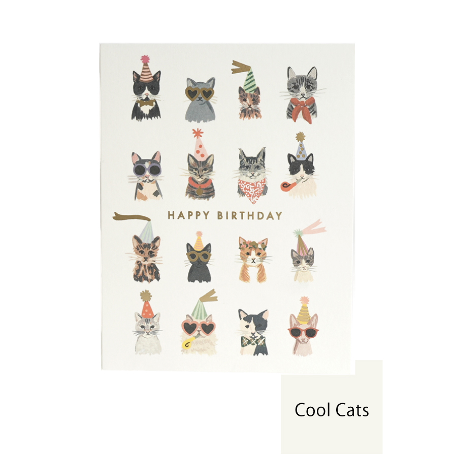 画像4: 【Klang&Kleid】Cool Cats & Party Pup　HAPPY BIRTHDAY  クールキャッツ パーティーパップス　バースデーカード  ゴールドの封筒付き　誕生日　（ネコ/Cool Ctas・イヌ/Party Pups）メッセージカード　ヨーロッパ製　箔押し ギフト　約11cm X 14cm　Design in UK 　EU印刷　ネコポス対応 (4)
