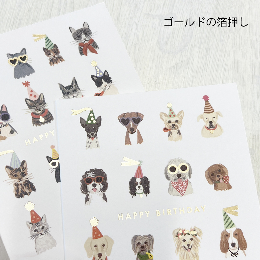 画像6: 【Klang&Kleid】Cool Cats & Party Pup　HAPPY BIRTHDAY  クールキャッツ パーティーパップス　バースデーカード  ゴールドの封筒付き　誕生日　（ネコ/Cool Ctas・イヌ/Party Pups）メッセージカード　ヨーロッパ製　箔押し ギフト　約11cm X 14cm　Design in UK 　EU印刷　ネコポス対応 (6)
