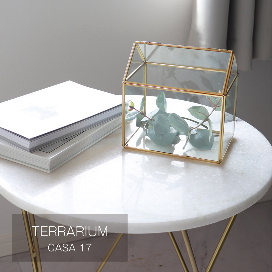 画像1:   【FARM】テラリウム　CASA 17 　93078　カーサ　木 ガラス グリーンハウス Terrarium (1)