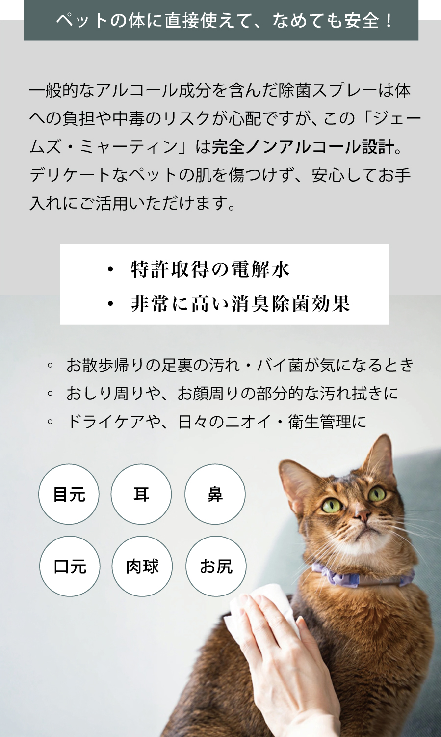 猫　ペット用　除菌収集　アンアルコール　舐めても安心